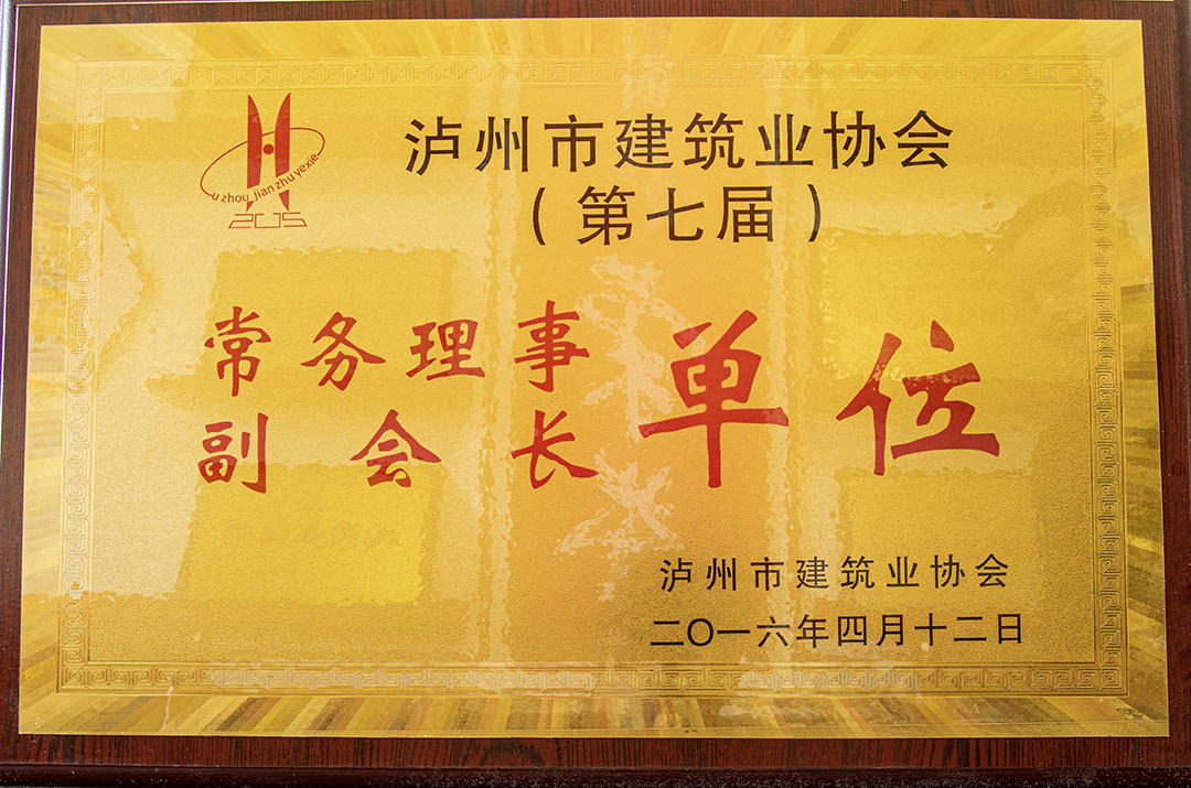 瀘州市建筑業(yè)協(xié)會常務(wù)理事副會長單位