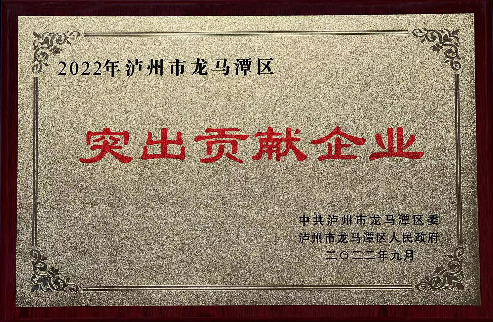 2022年瀘州市龍馬潭區(qū)突出貢獻(xiàn)企業(yè)